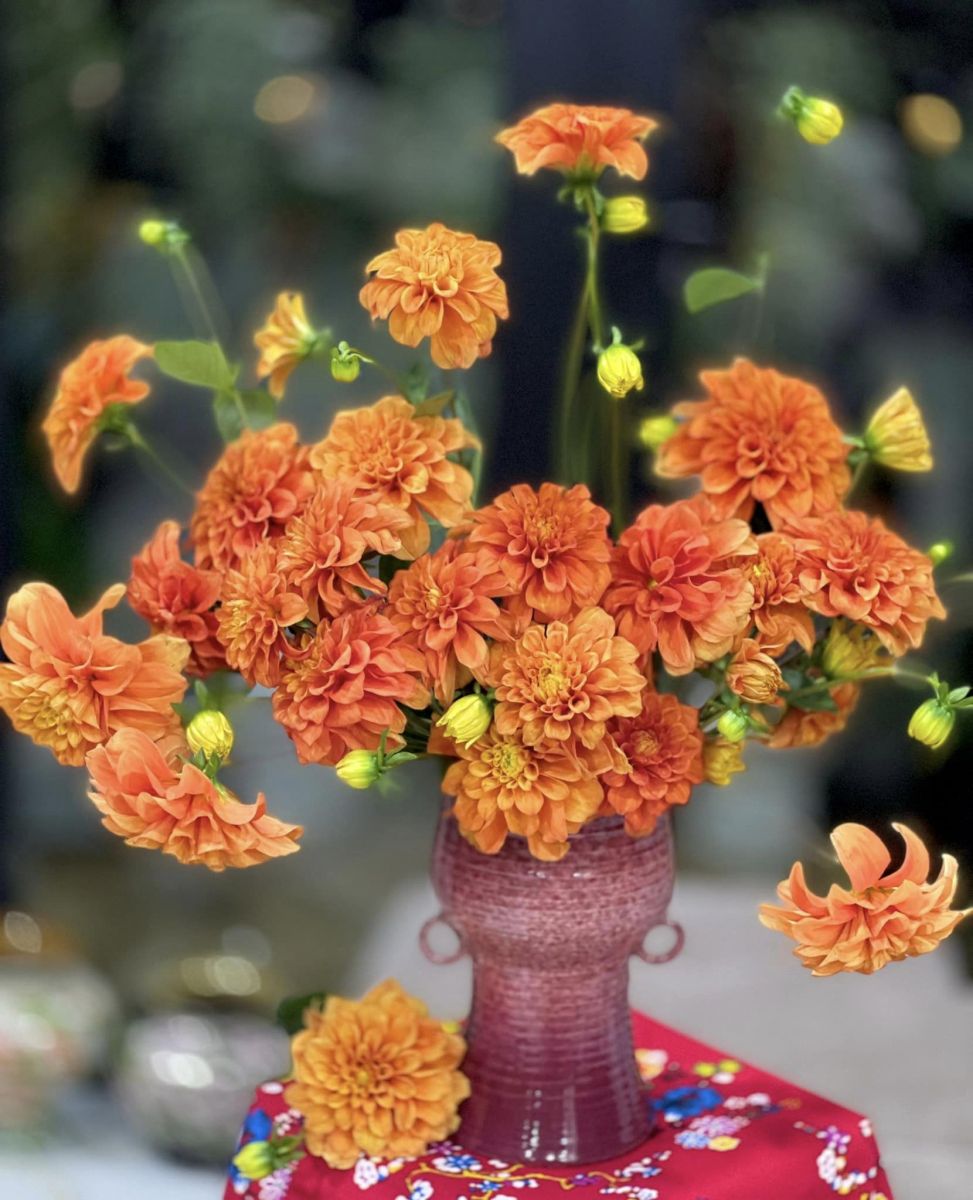 Tử vi hàng ngày - Thứ Bảy 31/12/2022 của 12 cung hoàng đạo